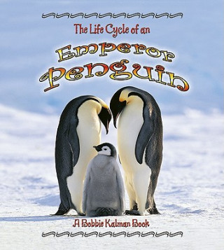 Könyv Life Cycle of an Emperor Penguin Bobbie Kalman