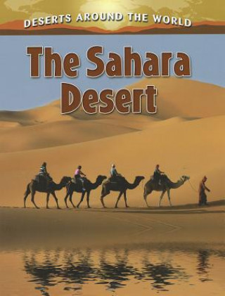 Carte Sahara Desert Molly Aloian