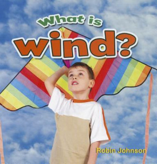 Kniha What is wind? Robin Johnson