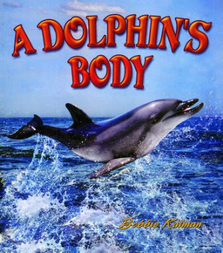 Książka Dolphin's Body Bobbie Kalman