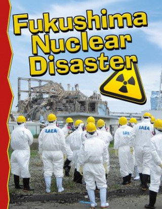 Könyv Fukushima Nuclear Disaster Rano Arato