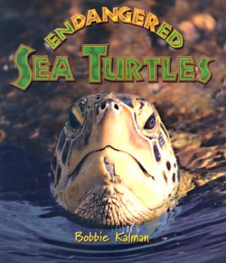 Carte Endangered Sea Turtles Bobbie Kalman