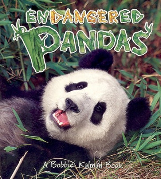 Kniha Endangered Pandas John Crossingham