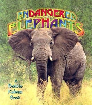 Carte Endangered Elephants Bobbie Kalman