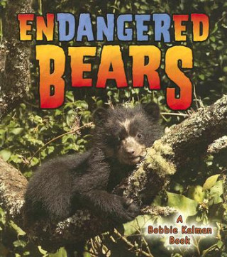 Knjiga Endangered Bears Bobbie Kalman