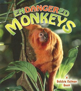 Kniha Endangered Monkeys Molly Aloian