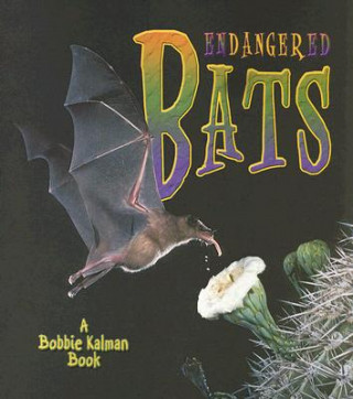 Buch Endangered Bats Bobbie Kalman