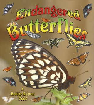 Kniha Endangered Butterflies Bobbie Kalman
