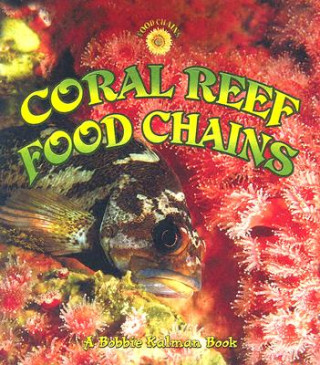 Książka Coral Reef Food Chains Kelley MacAulay