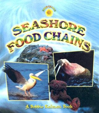 Buch Seashore Food Chains John Crossingham