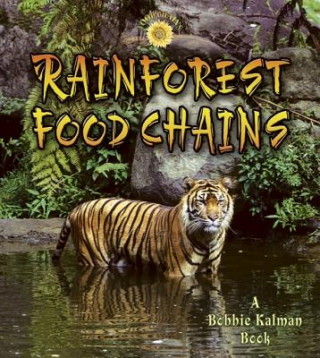 Kniha Rainforest Food Chains Molly Aloian