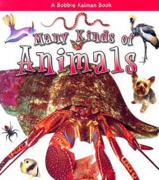 Kniha Many Kinds of Animals Molly Aloian