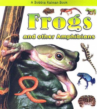 Könyv Frogs and Other Amphibians Bobbie Kalman