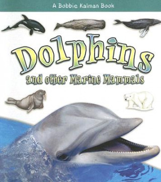 Kniha Dolphins and Other Marine Mammals Kelley MacAulay