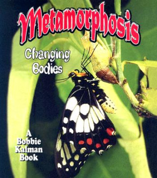 Kniha Metamorphosis Bobbie Kalman