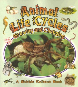 Book Animal Life Cycles Bobbie Kalman