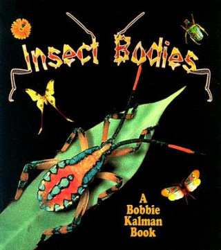 Kniha Insect Bodies Molly Aloian