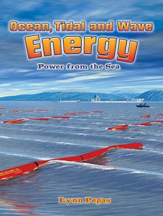 Книга Ocean Tidal and Wave Energy Lynn Peppas