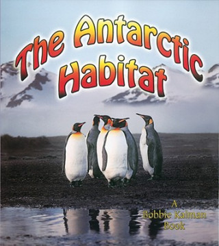 Buch Antarctic Habitat Molly Aloian