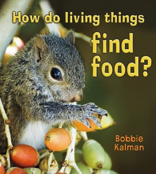 Książka How do living things find food? Bobbie Kalman