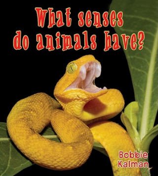 Book What Senses Do Animals Have? Bobbie Kalman