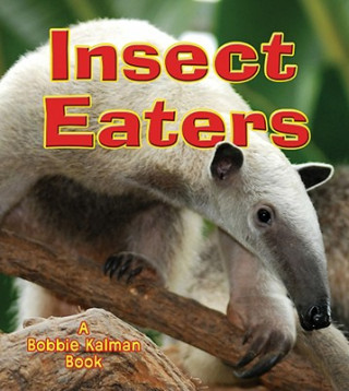 Könyv Insect Eaters Bobbie Kalman