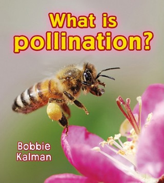 Книга What is pollination? Bobbie Kalman