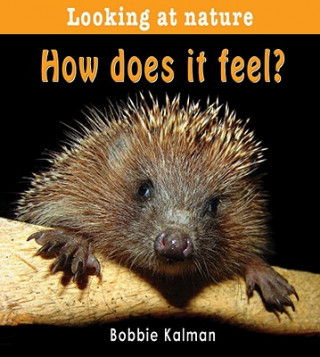 Kniha How Does it Feel? Bobbie Kalman