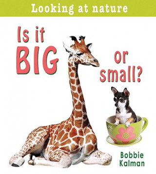Kniha Is It Big or Small? Bobbie Kalman