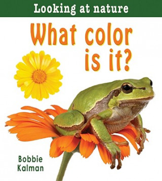 Carte What Color is It? Bobbie Kalman
