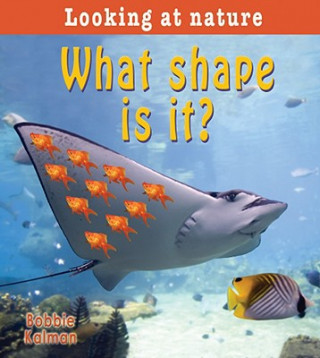 Könyv What Shape is It? Bobbie Kalman