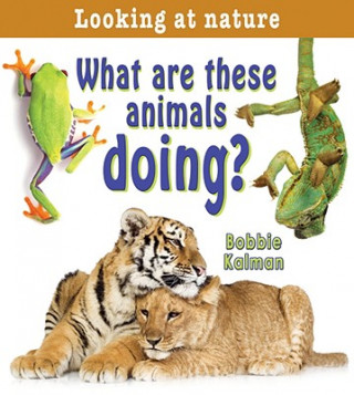 Carte What are These Animals Doing? Bobbie Kalman