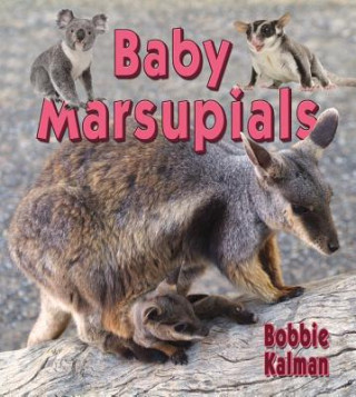 Книга Baby Marsupials Bobbie Kalman