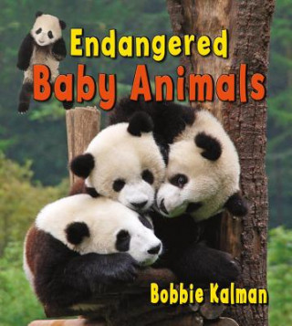 Книга Endangered Baby Animals Bobbie Kalman