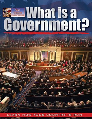 Carte What is a Government? Baron Bedeksy