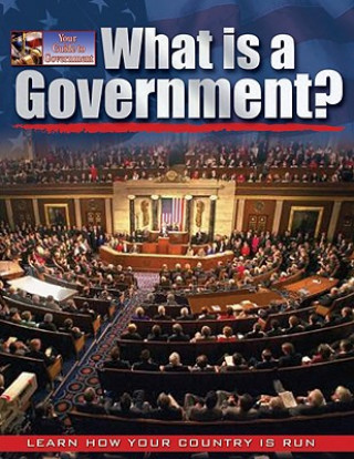 Kniha What is a Government? Baron Bedeksy