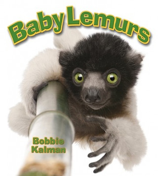 Carte Baby Lemurs Bobbie Kalman