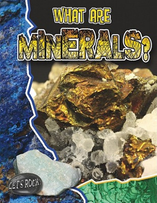 Carte What Are Minerals? Natalie Hyde