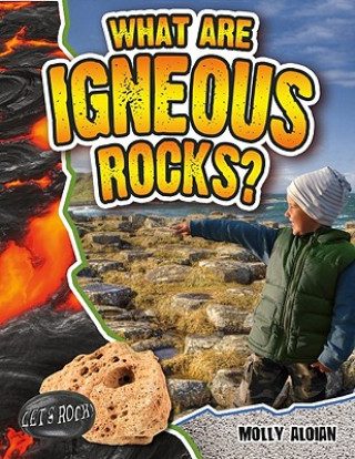 Kniha What are Igneous Rocks? Molly Aloian