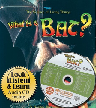 Libro What is a Bat? Heather Levigne