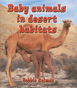 Книга Baby Animals in Desert Habitats Bobbie Kalman