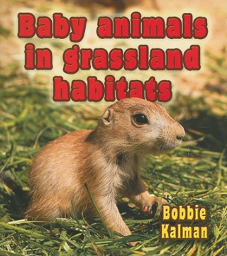 Książka Baby Animals in Grassland Habitats Bobbie Kalman