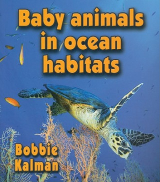 Book Baby Animals in Ocean Habitats Bobbie Kalman