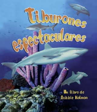 Knjiga Tiburones Espectaculares Bobbie Kalman