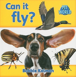 Buch Can it fly? Bobbie Kalman