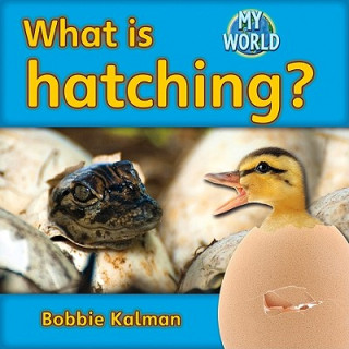 Книга What is Hatching? Bobbie Kalman