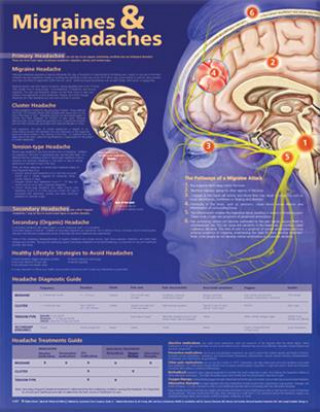 Tiskovina Migraines and Headaches Anatomical Chart 