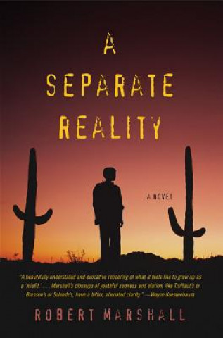 Knjiga Separate Reality Ronald Chetwynd-Hayes