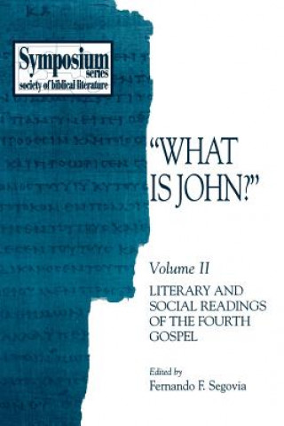 Kniha What is John? Fernando F. Segovia