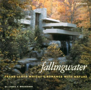 Книга Fallingwater Lynda S. Waggoner